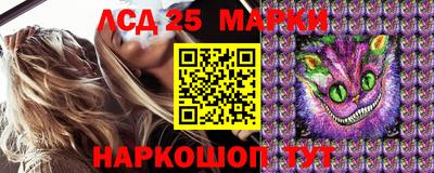СК Пугачёв
