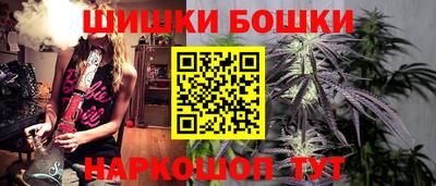 СК Пугачёв